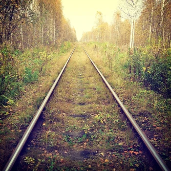 

Train Tracks Railway Backdrop Photography Autumn Country Scenery Trees Kids Children Photo Studio Backgrounds Foto Achtergrond