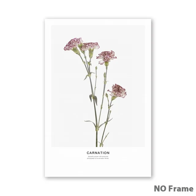 Simple-Nordic-Flower-Lotus-Brassica-Magnolia-Canvas-Art-Prints-posters-Living-Room-Wall-Pictures-Home-Decor.jpg_640x640 (4)