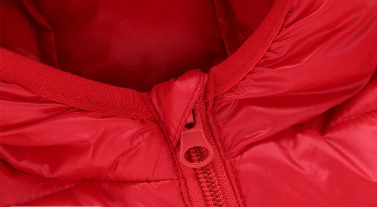 4450111418_1223885997