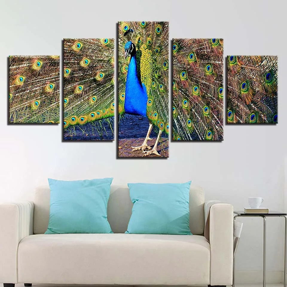 HTB1.as6blHH8KJjy0Fbq6AqlpXax