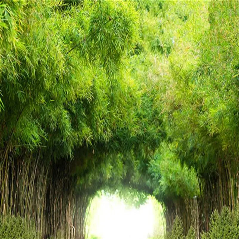 2_