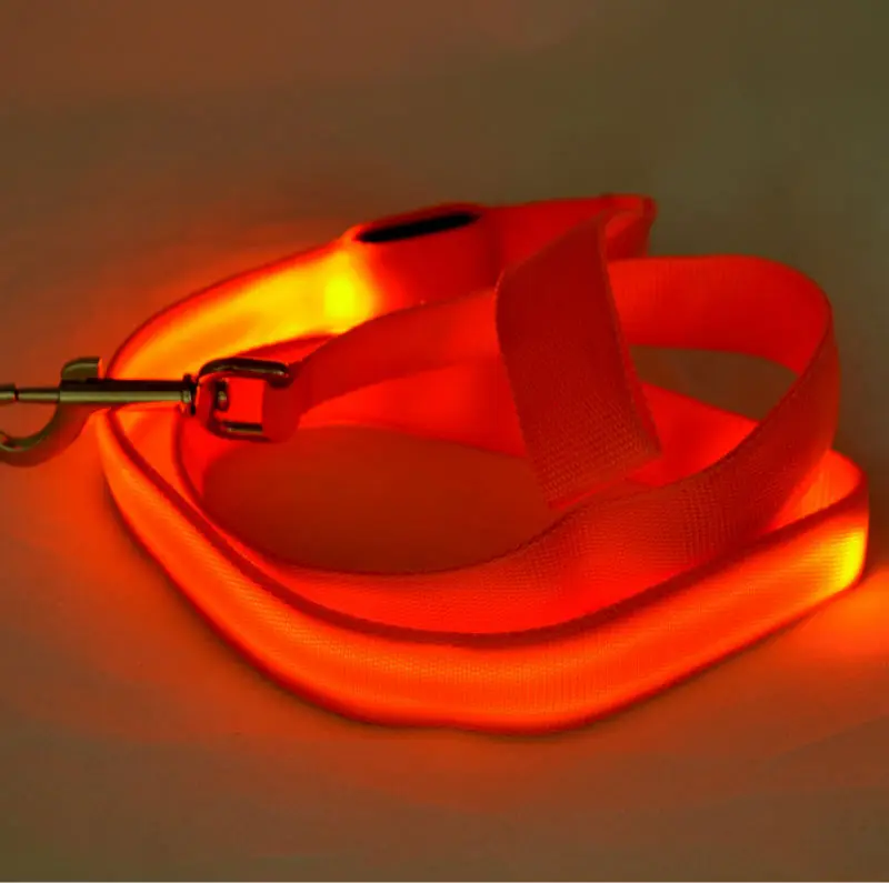 G10_120cm_Nylon_Pet_LED_Dog_Leash_Night_Safety_LED_Flashing_Glow_LED_Pet_Cat_Dogs_Drawing_Small_Leads_for_LED_Dog_Collar_ (4)
