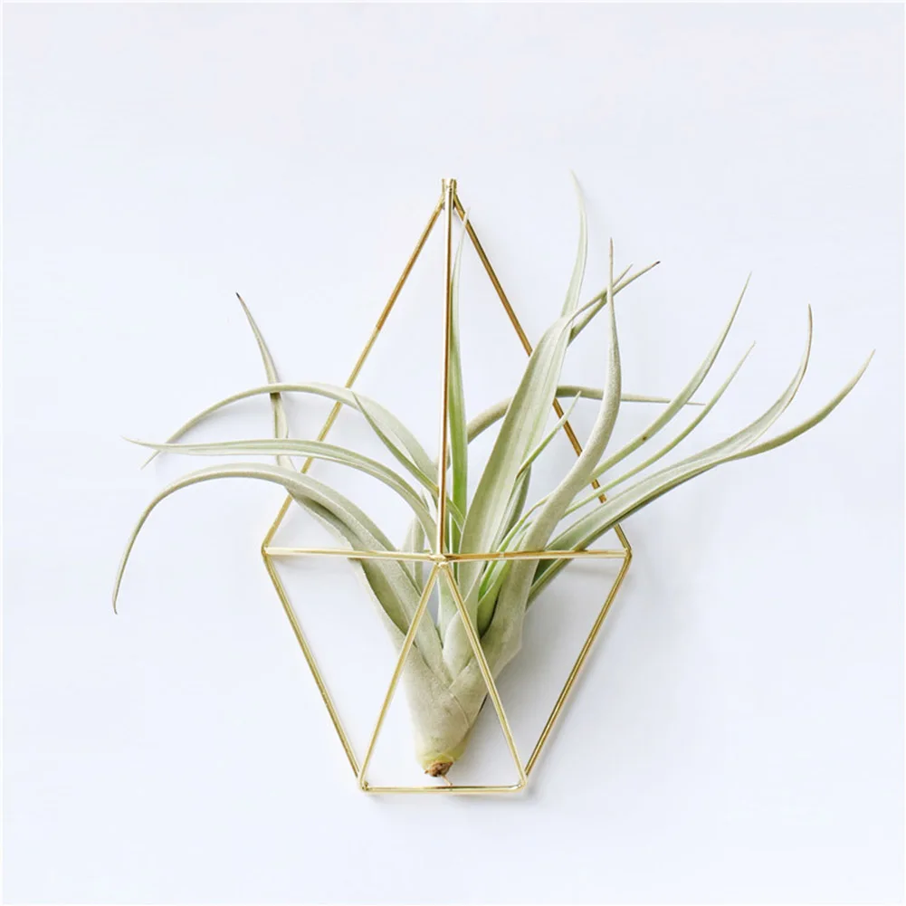 

'The Best' Wall Mounted Air Plants Holder Irregular Geometric Metal Hanging Rack for Branch Eave Ceiling 889