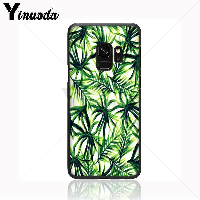 green plant leaves