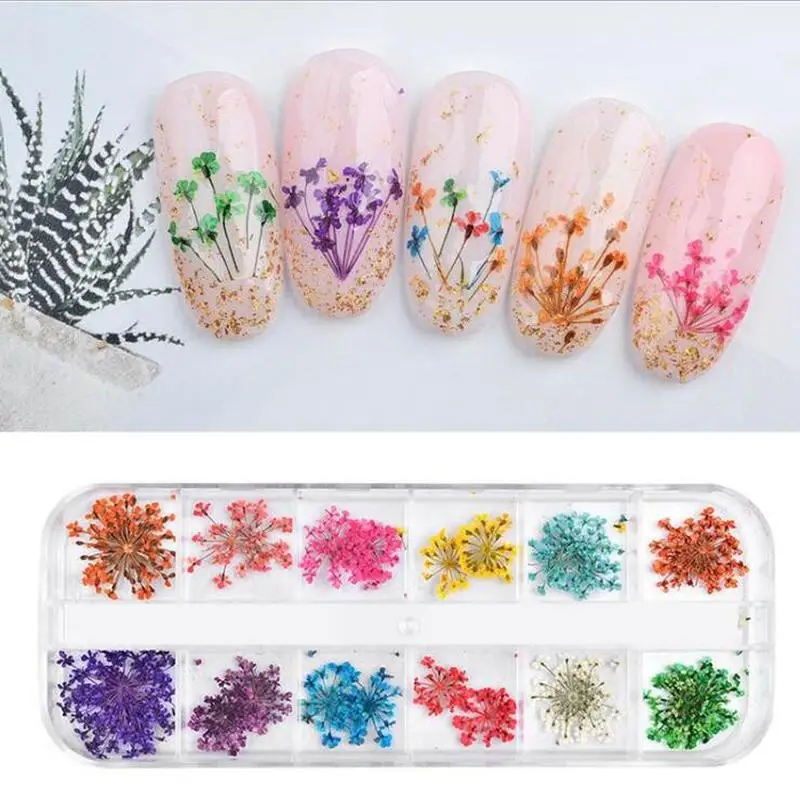 

12 Colors Nail Stickers Dried Flowers Nail Jewelry Natural Three-dimensional Dried Flowers Decorative Nail Art Supplies