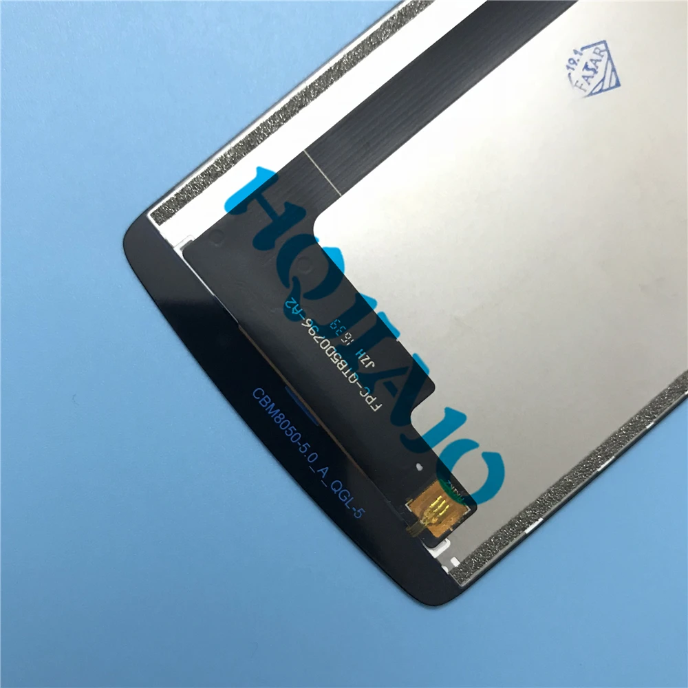 B6