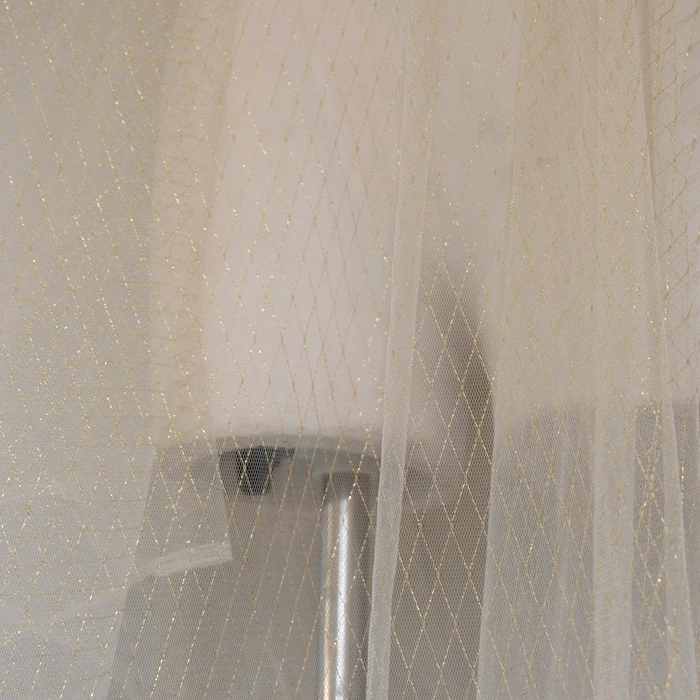 _DSF0263_