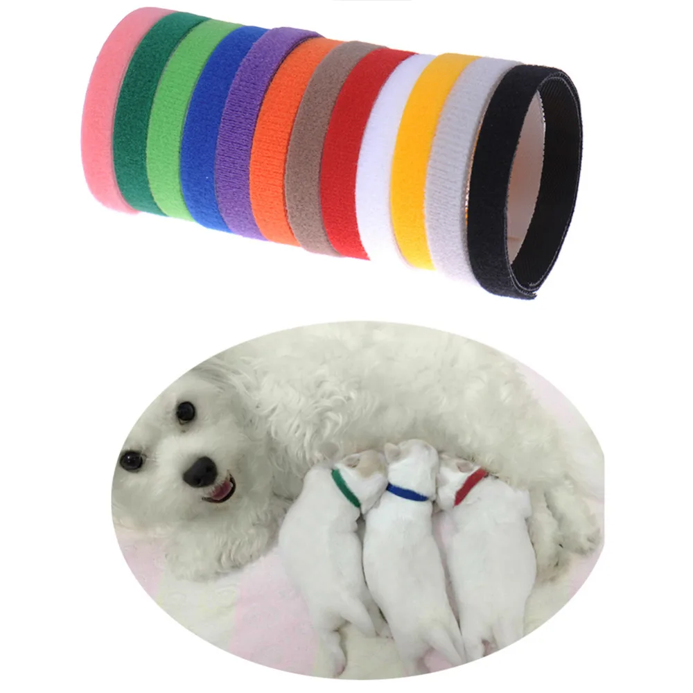 

12Pcs Puppy ID Identification Collars Adjustable Nylon Small Pet Dog Kitten Multicolor Necklace Dog Collars Pet Accessories