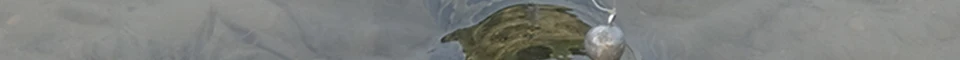 eng_48