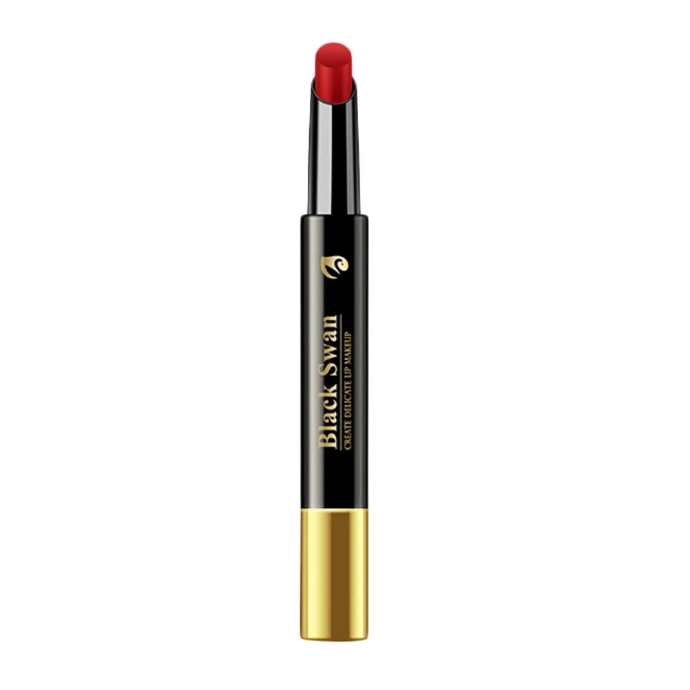Liquid Lipstick Moisturizer Velvet Matt Lipstick Cosmetic Beauty Makeup Maquiagem Makeup Profissional Completa Maquillage