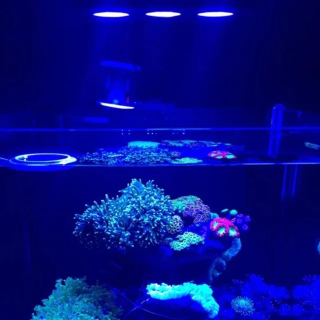 led spectra nano aquarium