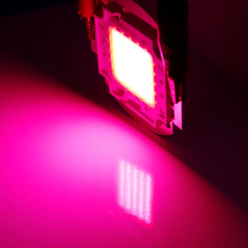 Высокая мощность 10-100 Вт полный спектр светодиодный светильник бусины 380-840nm интегрированные растительные огни полная ленточная лампа бусины