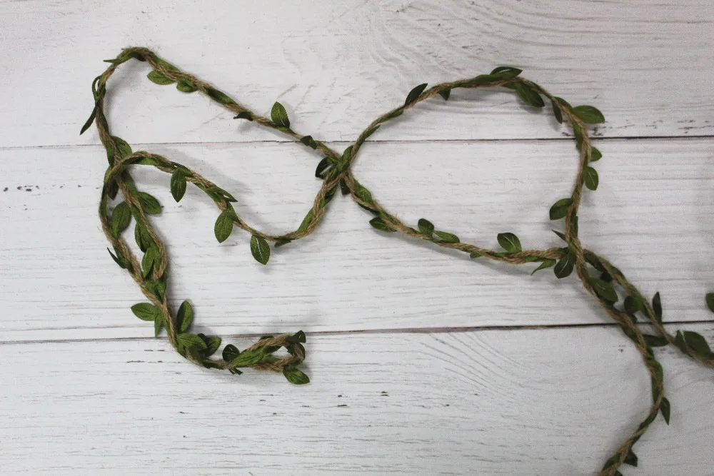 IMG_0549_