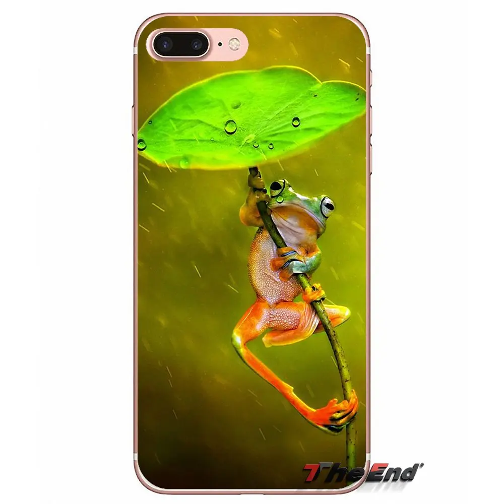 Силиконовый чехол для Samsung Galaxy S3 S4 S5 MINI S6 S7 edge S8 Plus Note 2 3 4 5 Grand Core Prime Frogs A rainbow frog