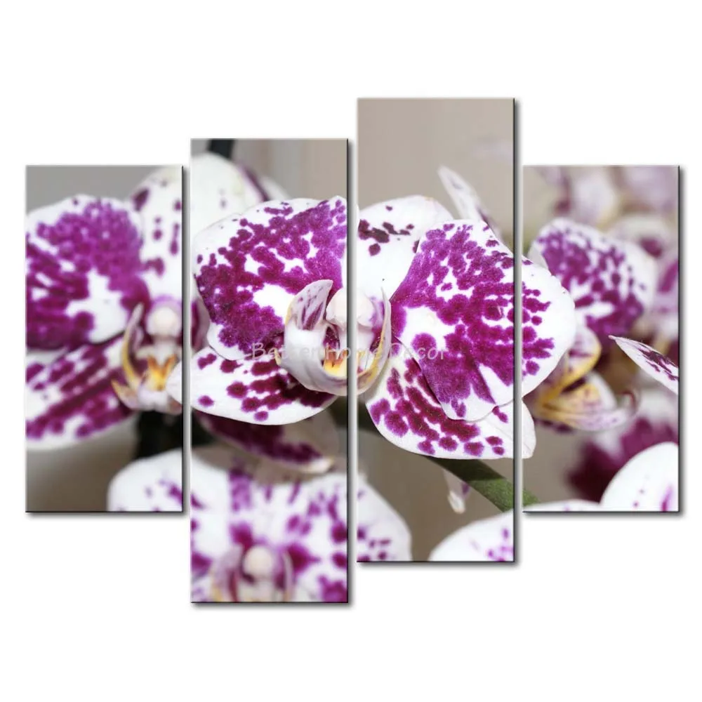 Online kopen wholesale wit paarse orchidee uit china wit paarse ...