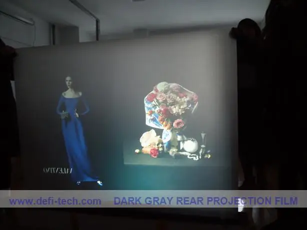 

DfLabs !! Window gray Rear screen film ,projector screen High quality low price!