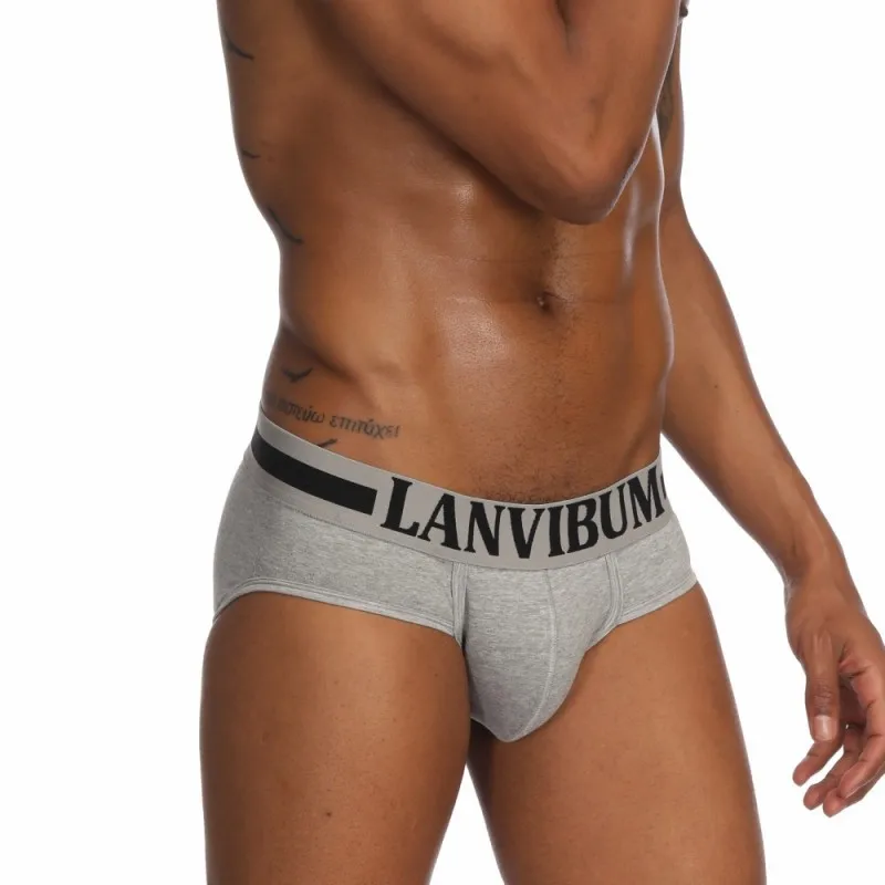 

LANVIBUM Brand Men Underwear Sexy Men Cotton Briefs Mens Slip Cueca Male Panties Underpants Briefs Gay
