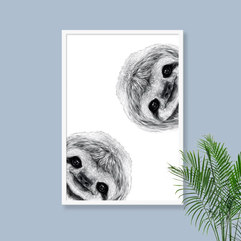 Sloth Canvas Print