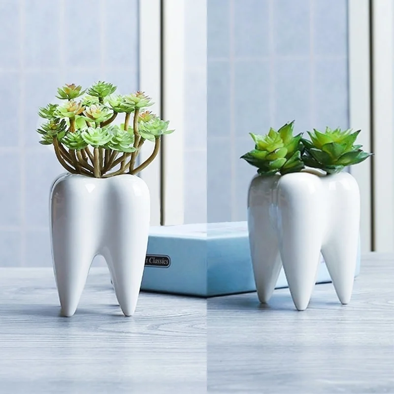 

Creative Tooth Shape Flower Pot DIY Gardening Potted Succulent Fleshy Plant Pot Cute Ceramic Art Pots Home Decor Office Decorat