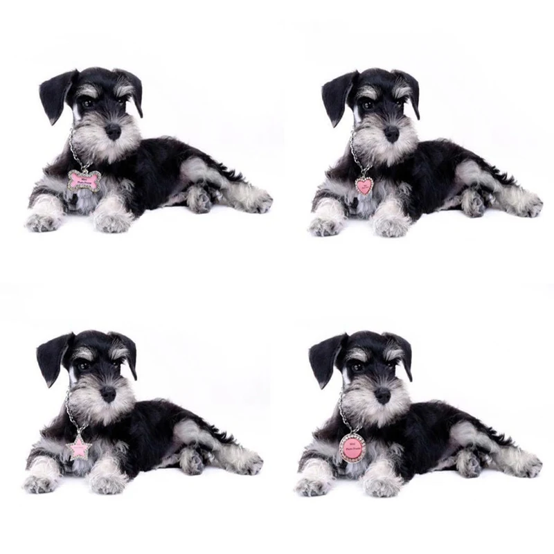 Собака ID жетон с гравировкой собака кличка бирки Pet Воротник Подвеска выгравировать номер телефона для питомец средних размеров лабрадор