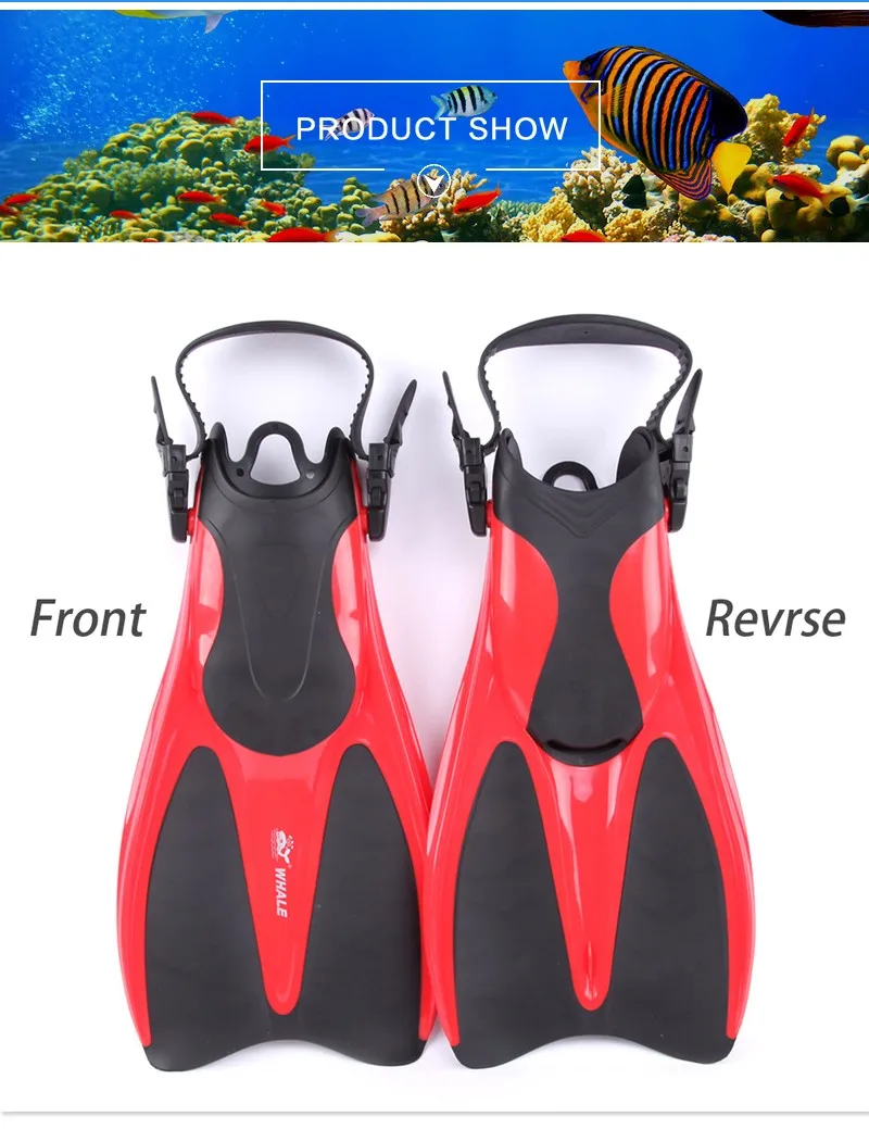 HTB1gbbGKXXXXXa9aXXXq6xXFXXXH