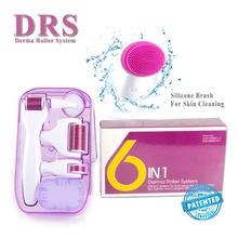 New Microneedle Derma Roller 6 in 1 For Hair Loss Derma Roller 12/300/ 720/1200 Needles Titanium Microneedle MTS Skin Care