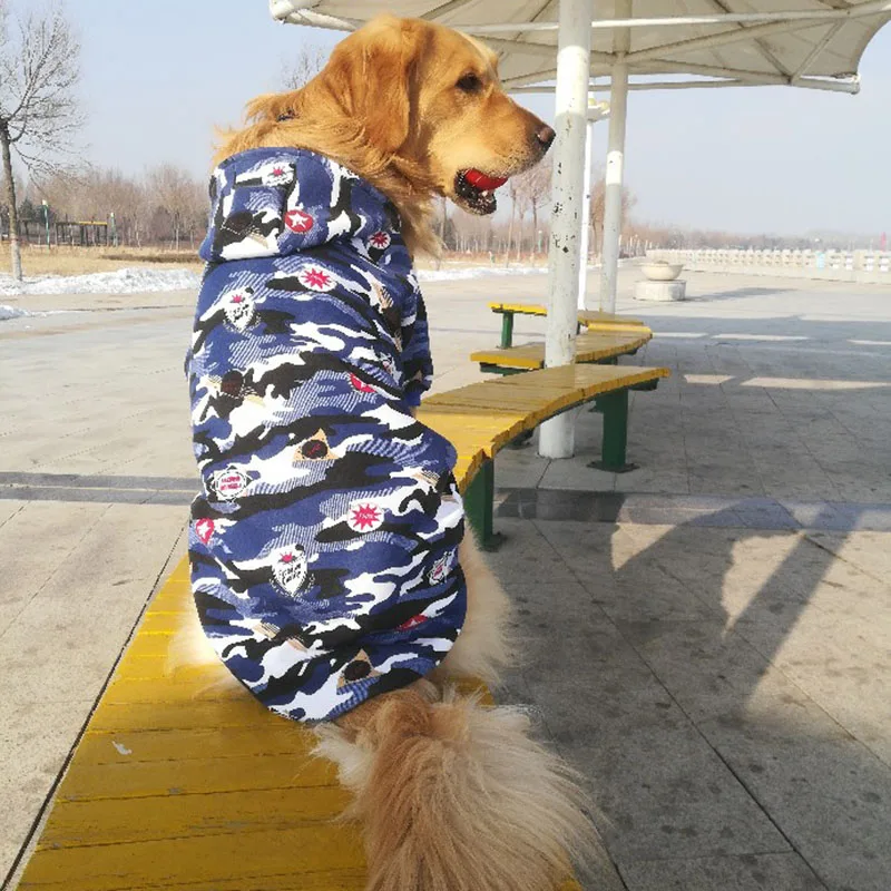 Золотистый ретривер Лабрадор одежда среднего и большого размера ...