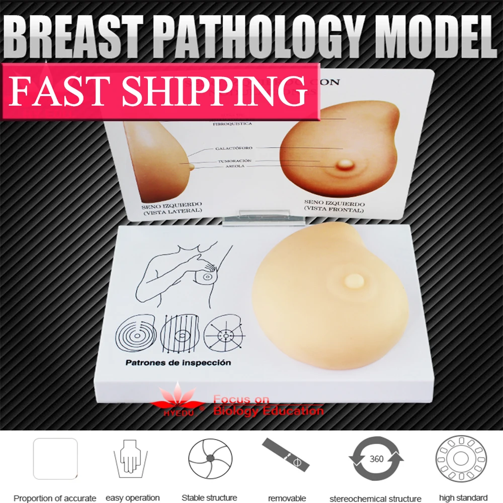 

Breast Examination Simulator Advanced Breast Nursing Practice Model Female Breast Model