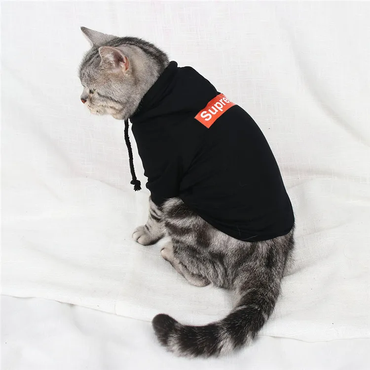 Одежда для домашних животных худи аксессуары для кошек костюм наряд Одежда для котят одежда для щенков щенок йоркширского терьера пальто Каттен kleding
