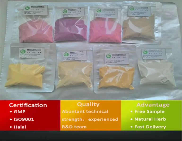 Organic Chia Seeds/Chia Seeds/Chia Seed Extract Powder
