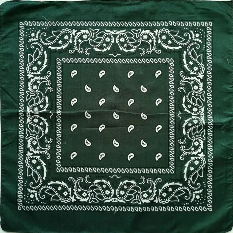 zaa-224-DGN