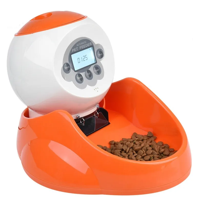 best automatic dog feeder with timer