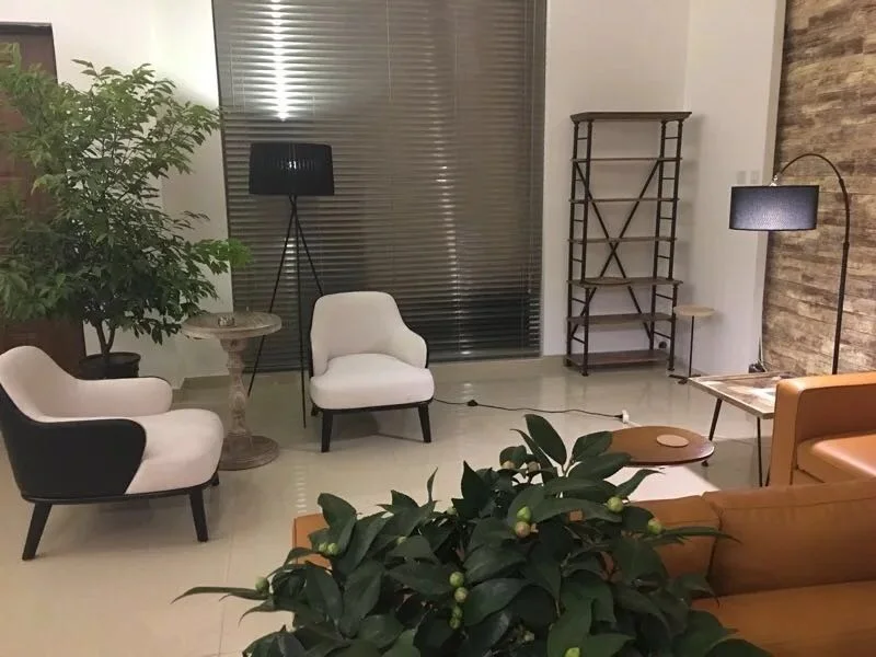 U-BEST современный дизайн гостиничная мебель Лесли тапизадо Minotti кресло для отдыха