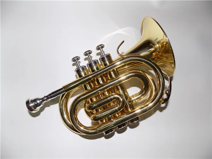 

JinBao Bb Pocket trumpet with ABS case Customized your own instrument