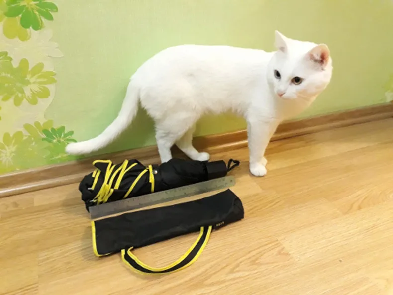 HTB1QuRCXinrK1Rjy1Xcq6yeDVXaE