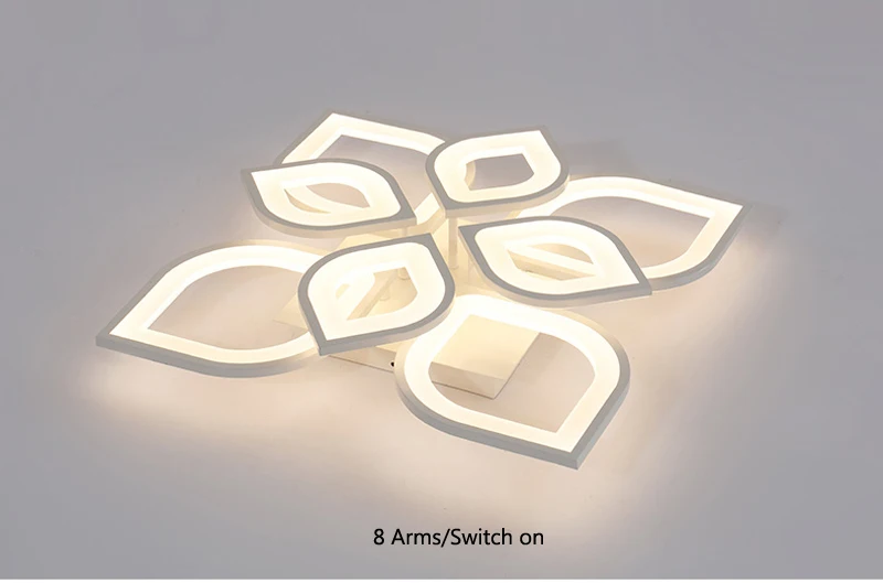 ceiling light (26)