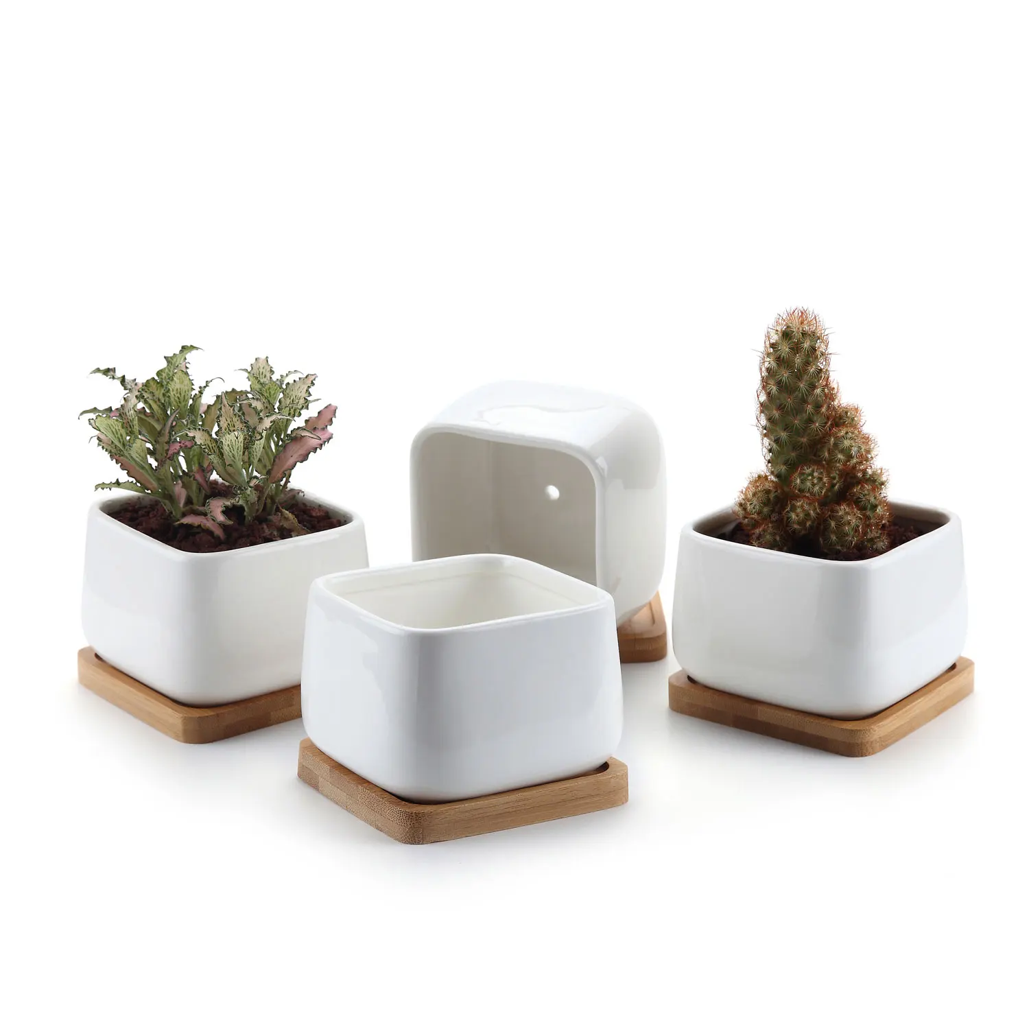 T4U 2 Inch Ceramic White Mini Square succulent Plant Pot/Cactus Plant Pot wit... 