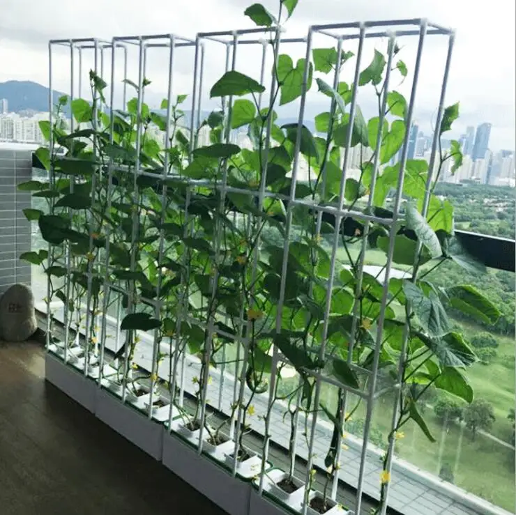 High Quality Balcony indoor Hydroponics system NFT water culture soilless cultivation organic vegetable planting box