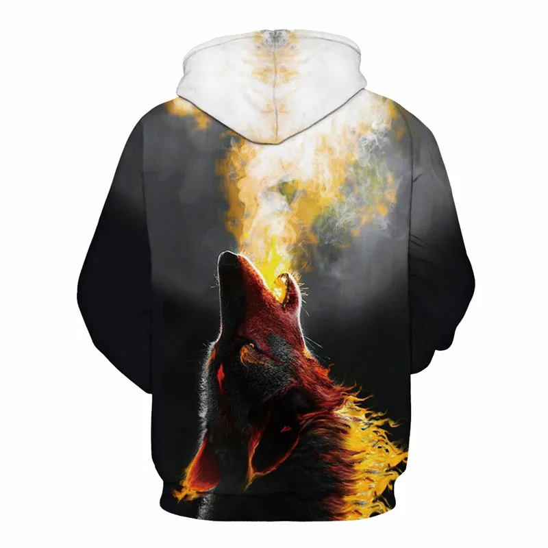 Fashion Autumn and winter Men Women 3D Pullover Hoodie Printed Sweatshirts Long Sleeve Casual Hoodies