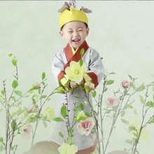 Xiao huajiang маленький садовник Древняя китайская Детский костюм Маленький мальчик для малышей 1 год на день рождения фото костюм