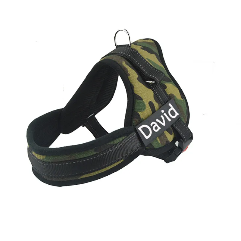 David