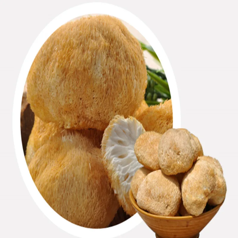 

250g-500g Natural High quality Hericium erinaceus/ monkey head mushroom ,Nourishing the stomach and improving immunity