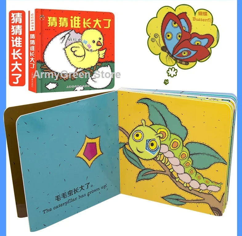 6 - Book 4