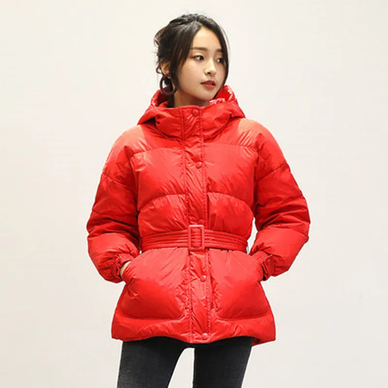 Women's Winter Jackets Fashion Collar Women's Down Jacket 2019 Winter New Short Paragraph Down Jacket Sweet Coat Female  S M L (4)