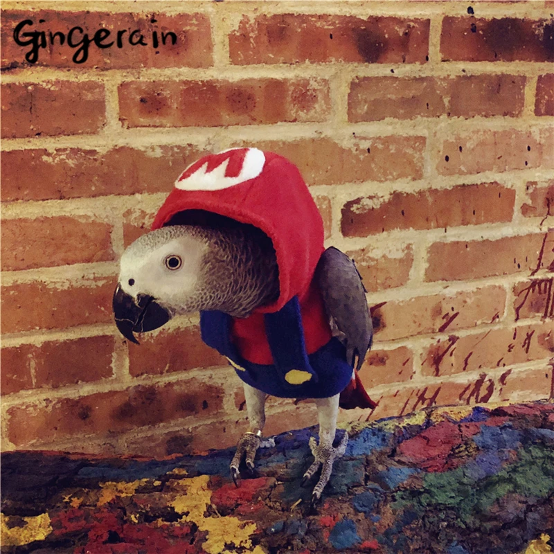 Gingerain одежда с птицами и попугаями оригинальная ручной работы свитер