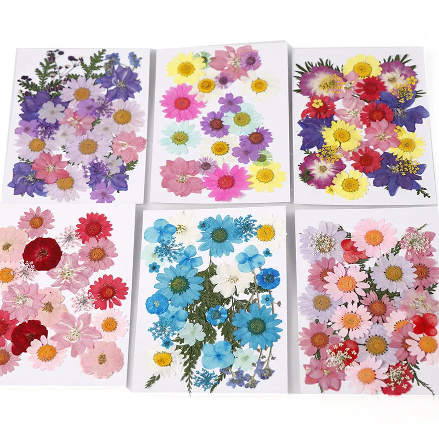 

Mixed Colors Real Dried Coral Flowers Dyeing Plants For Epoxy Resin Pendant Necklace Jewelry Making Craft DIY Accessories