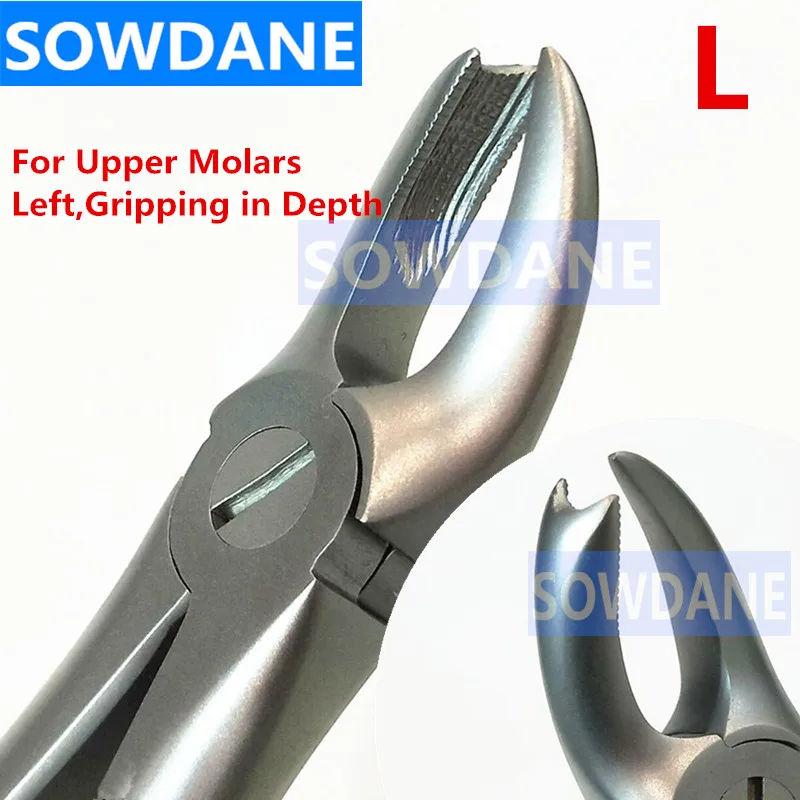 

1 pcs Dental Adult Tooth Extraction Plier For Upper Molars L Gripping in Depth Dental Orthodontic Surgery Forcep Dentist T