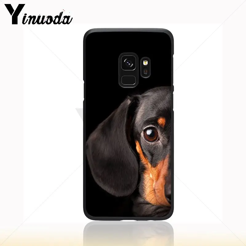 Dachshund Silhouette Dog
