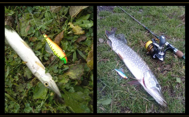 WALK FISH 1PC 7 cm 18g zima morze twarde połowów przynęty VIB Bait z ołowiu Inside nurkowanie obrotowe Jig Wing Wobbler korby tanie i dobre opinie Rzeka zbiornik staw Ocean Boat Fishing strumień Ocean Beach wędkowanie jezioro SPACER RYBY Sztuczna przynęta Q036 WALK FISH 1PC 7 cm 18g zima morze twarde połowów przynęty VIB Bait z ołowiu Inside nurkowanie obrotowe Jig Wing Wobbler korby tanie i dobre opinie Rzeka zbiornik staw Ocean Boat Fishing strumień Ocean Beach wędkowanie jezioro SPACER RYBY Sztuczna przynęta Q036