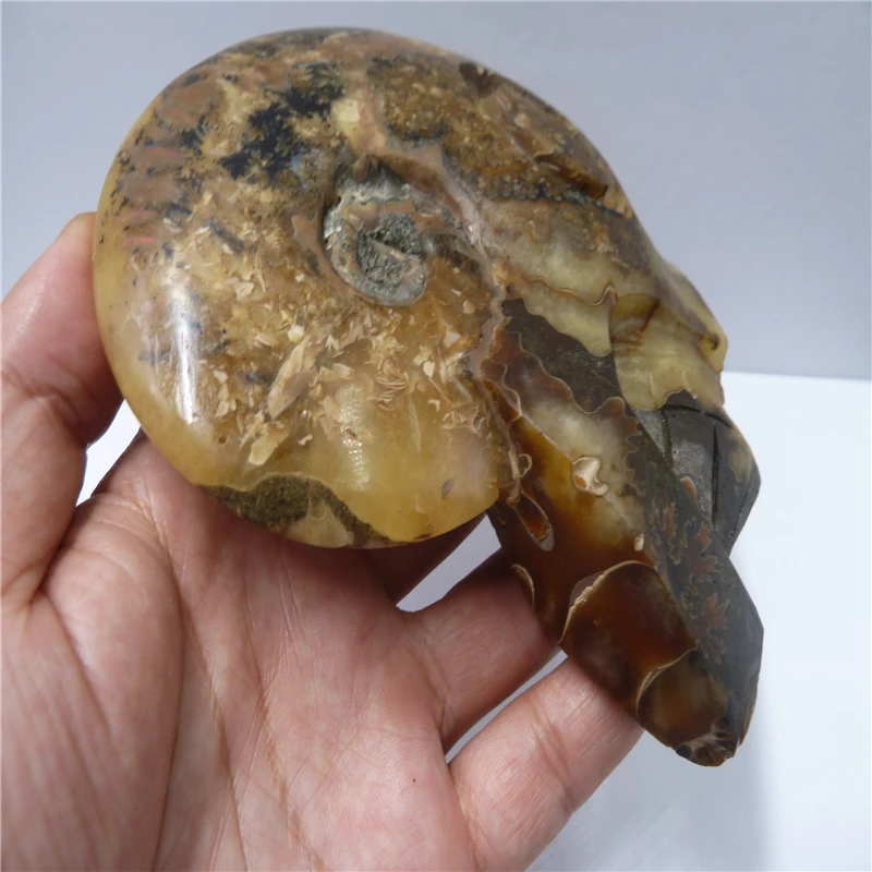 P1420128